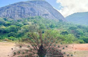 FLAT 228 - Hotel Pedra do Rodeadouro-Bonito-PE - Photo 15