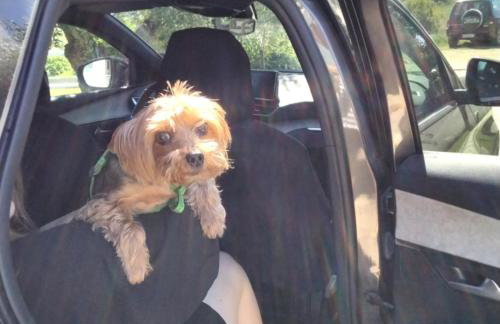 Elia by the sea - Photo 26