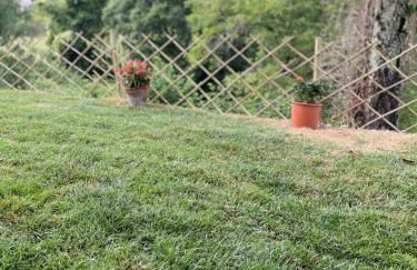 THE DORMOUSE - Il Ghiro - Foto 41