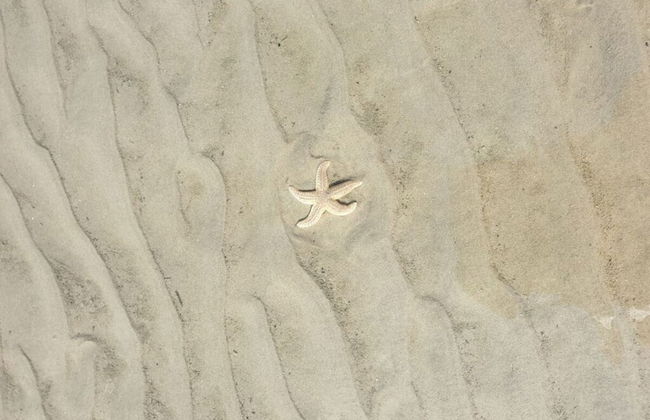 Red Sand Modern Retreat - Foto 15