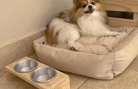 Loft U01 próximo à Rota do Vinho em São Roque SP - Foto 24