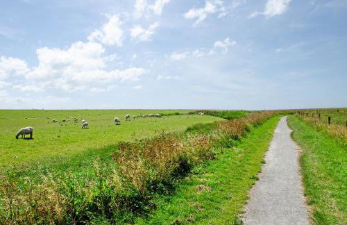 Seeschwalbe Hilgenriedersiel - Photo 4