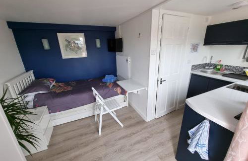 Lovely private studio room with own kitchen and bathroom. Set in the popular area of Shiphay in Torquay and only a short walk from Torbay Hospital - Foto 4