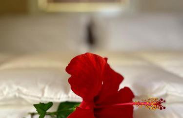 Maison Yolo - Slow Living Sicily - Foto 11