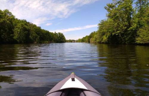 Charmant petit T2 au bord de l'Allier - Foto 12
