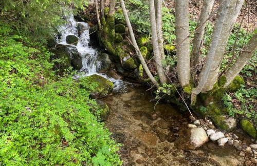 Chalet entier, vue panoramique, ruisseau et sauna. - Foto 31