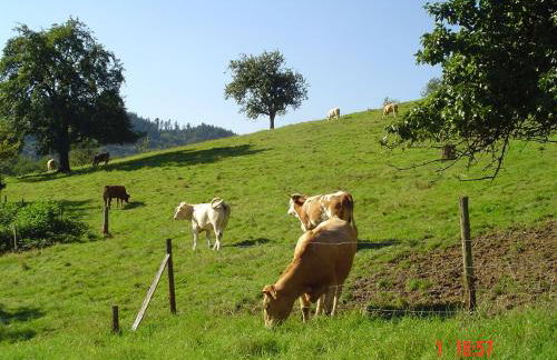 Schnurrenhof - Foto 12