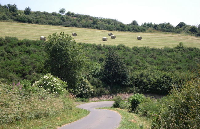 Holiday Home in Sellerich With Forest - Foto 30