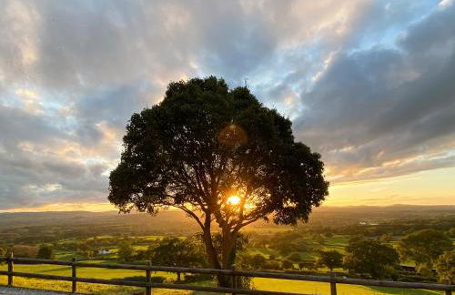 Beehive Cottage - Photo 25