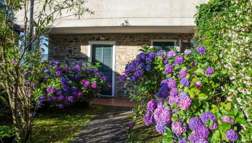AnMa Cottages Sole Lago - Foto 4, Garden