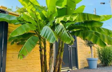 Pool, Sauna und Blick ins Grüne - Foto 8