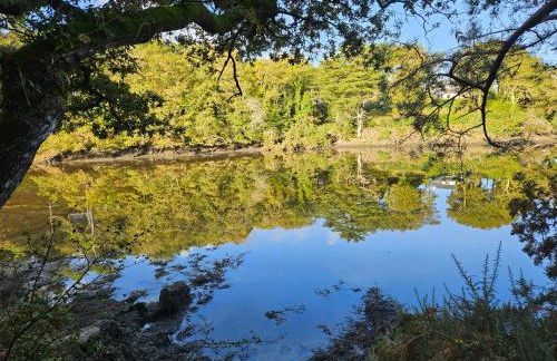 Gîte Les mouettes qui caquètent - Foto 17