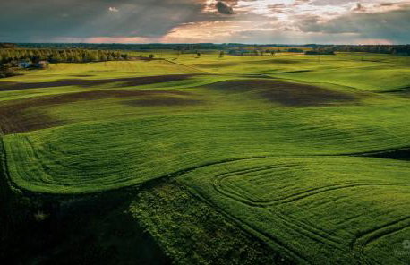 Agroturystyka Lisa Młyn - Foto 26