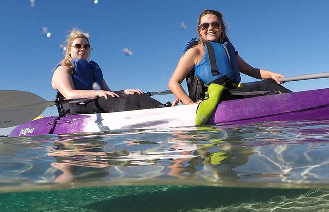 Kayak and Snorkel Dolphin-Watching Tour - Photo 7