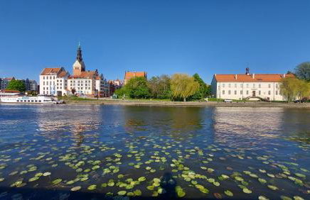 STARE MIASTO KWIATY - Foto 17