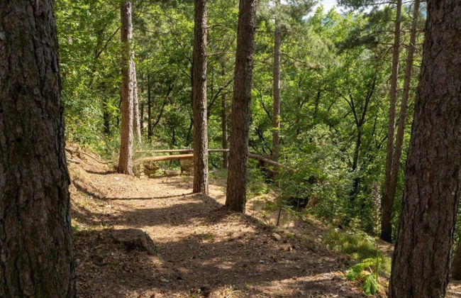 Pleasant Holiday Home in Reggello With Pool - Foto 65