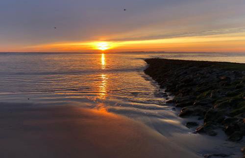 Studio mit Meerblick auf die Robbenbänke von Norderney, geschützter Südwestbalkon - Foto 26