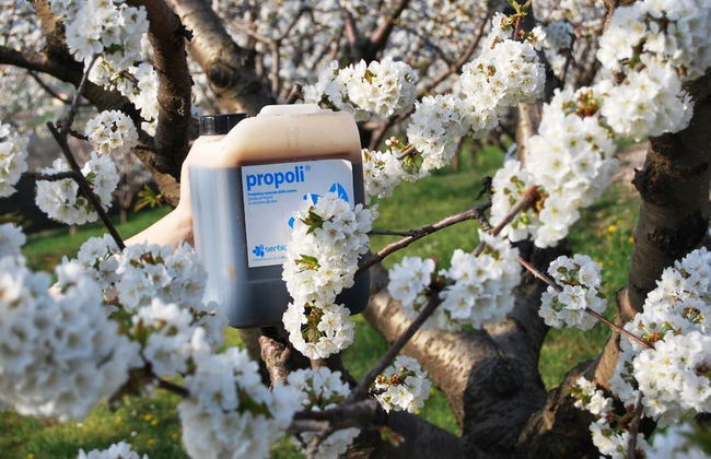 Tenuta Fortelongo - Foto 42