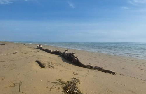 Villette Susanna - Foto 54