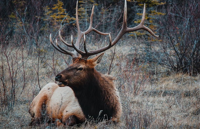 Forest Family Home - Foto 35