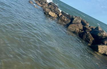 Casa di Nonni - Foto 7