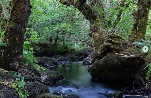 Swan Landing - Photo 20