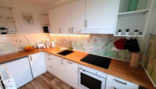 radfreundliches Wohlfühl-Apartment mit Terrasse und Parkplatz - FeWo Woody - Foto 2, towels, stove, dishwasher, toaster