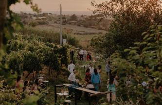 Merumalia Wine Resort - Foto 47