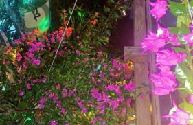 Loft Marambaia - Foto 13