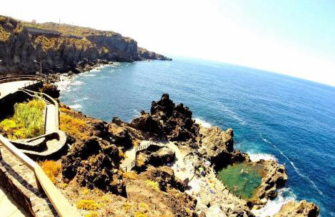 Phoenix Canariensis - Foto 23