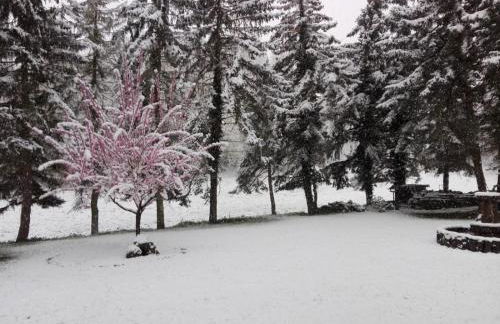 Fewo am Wingertsberg Glees Laacher See - Foto 25