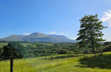 Old School, Spean Bridge - fun, friendly, relaxed - Photo 17