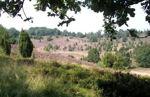 Ferienwohnungen Liedtke - Foto 20