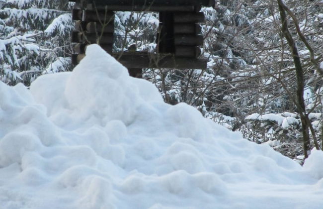 Serene Villa in Kstelberg near Lake & Watersports - Photo 36