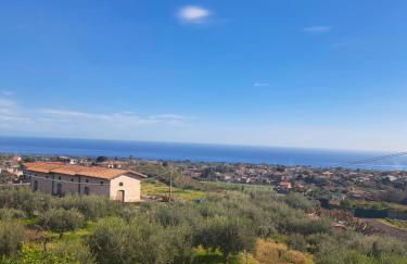 La Rosa dell'Etna - Apartments - Foto 32