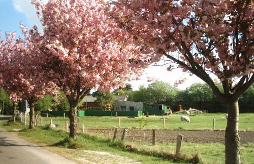 Kajüte 23 - Foto 13