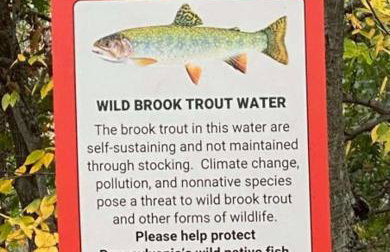 Historic Sears River Home (Main Level) on 10 Acres - Foto 19