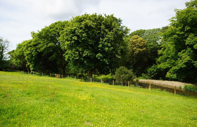 Fosfelle Glamping - Photo 42