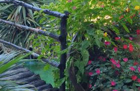 Casa del mare - Foto 28