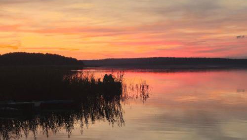 Domek w Borach Tucholskich - Wycinki - Foto 3
