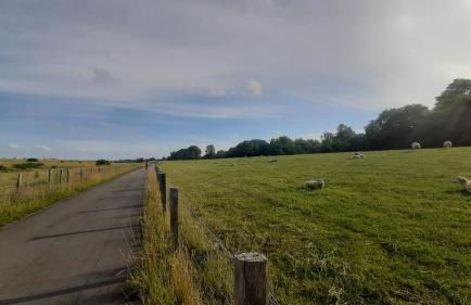 Strandkorb 29 - gemütliche neu sanierte FeWo an der Ostsee zwischen Dahme und Heiligenhafen - Foto 16