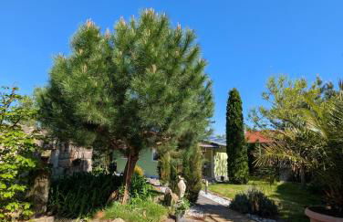 Ferienhaus Königsnase - Foto 10