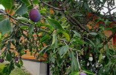 Domek pod Skiełkiem - Photo 42