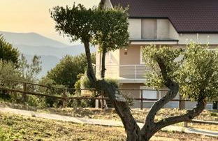 Residence Mancini - Cilento Home & Sunset - Foto 11