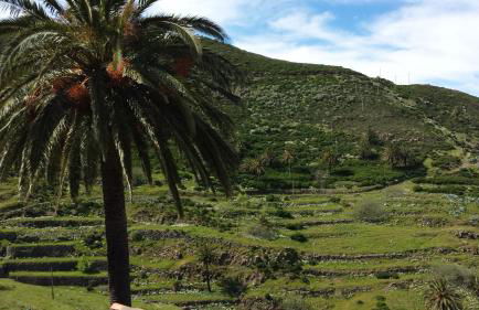 Casas Rurales Los Manantiales - Foto 17