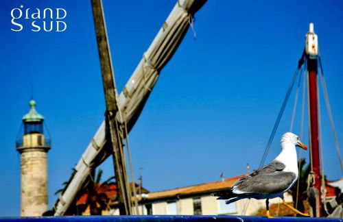 L'ANCRE MARINE - Appartement 2 chambres avec parking proche de la plage - Photo 31