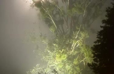 dla mnie się podoba - Foto 60