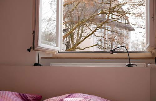 zweiteheimatfreiburg - Foto 16