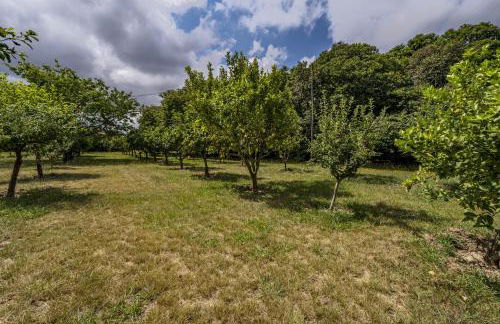 Nomad s Family - 4bdr Country House Macieira - Foto 32