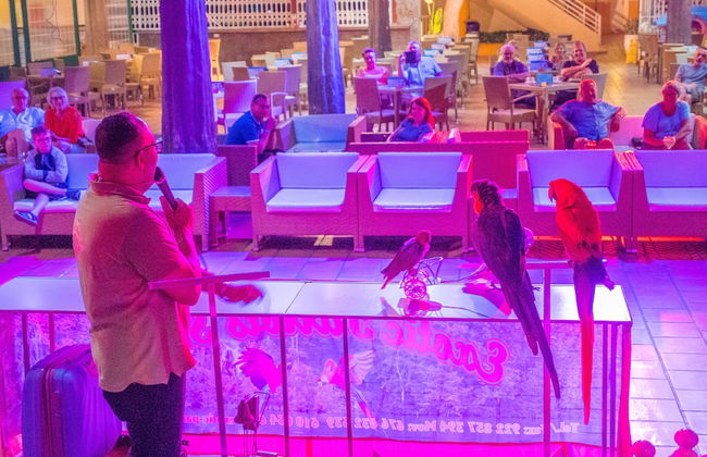 Checkin Bungalows Atlantida - Foto 27